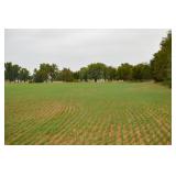Farm 2 - 28 +/- Acres Cropland