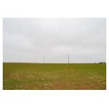 Farm 4 - 80 +/- Acres Cropland and Native Pasture