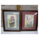 GORGEOUS IRIS PICTURE