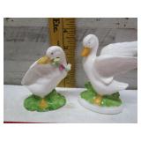 LITTLE DUCKS