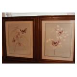 BUTTERFLY PICTURES