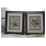 PAIR OF FLORAL PRINTS