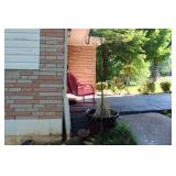 LARGE PLANTER & SHEPHERDS HOOK