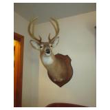 MOUNTED DEER HEAD