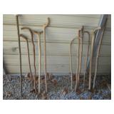WALKING STICKS