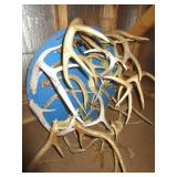 DEER ANTLERS