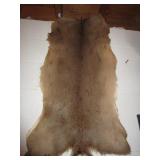 DEER SKIN