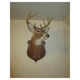 MOUNTED DEER HEAD