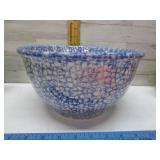 SPONGEWARE BOWL