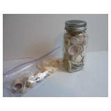 ASSORTED SEASHELL LOT IN GLASS JAR & BAG ï¿½ CRAFT