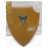 SHARKS TOOTH