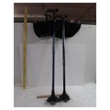 Nice Carex Canes - Pick up only