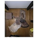 Mounted Turkey in flight