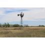 Plain Land Auction