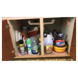 Cleaning supplies in sink cabinet