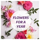 Petals Flowers for a Year!