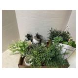 Succulents Decorations and Flower Pots