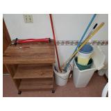 Cleaning appliances & push cart