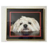 Framed Dog Photo