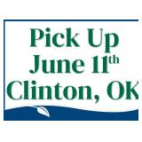 Pick up in Clinton, OK