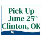Pick Up in Clinton