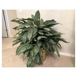 Faux Chinese Evergreen Plant
