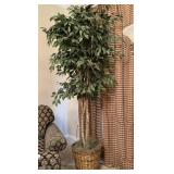 Faux Ficus Tree in Wicker Basket