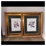 Set of 2 Floral Botanical Prints in Gold Frames