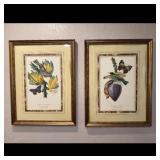 Set of 2 Botanical Prints
