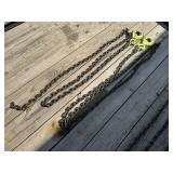 16 ft 3/8 in Chains with Hooks