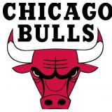 VIP Chicago Bulls Package for 2