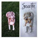 Custom Pet Portrait