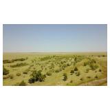 Tract #5 - ±444 Acres, Texas County, Oklahoma