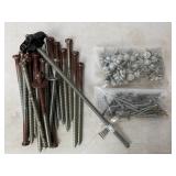 Assorted Screws Assorted Screws
