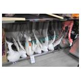 LOT, 8 ASST AVIAN UNITS