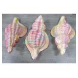LOT, 3 MULTI COLOURED CONCH SHELLS