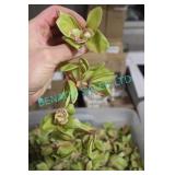 LOT, 3 BINS OF FAUX ORCHID FLOWERS