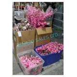LOT, 4 BONS "SILK VISION" PINK CHERRY BLOSSOMS