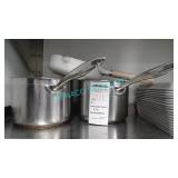 2X, S/S INDUCTION SAUCEPOTS