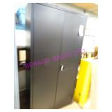 1X, 36"X72"T 2DR METAL CAB W/ HALF SIDE CUBBIES