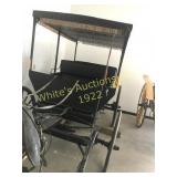 2 bench fringed surrey horse carriage