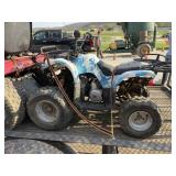 Kids 4 wheeler-needs battery