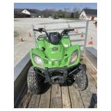 articcat quad does not run