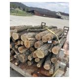 Locust wood lot