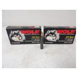 40-Wolf 223 Rem 55gr Copper HP Steel Case