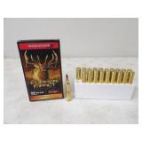 20-Winchester Copper Impact 300 Win Mag 180gr