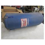 Everlast Punching Bag