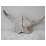 23in. w Horns