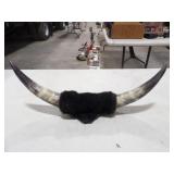 Steer? Horn Mount, 18in. Wide