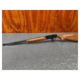 Hawthorne 880 22LR Semi Auto, Tube Feed, Sights